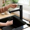 Hansgrohe 74823670 negro Grifería de cocina