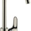 Hansgrohe 31821800 Grifería de cocina