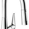 Hansgrohe M51 (73850000) Grifería de cocina