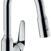 Hansgrohe 71862000 Grifería de cocina