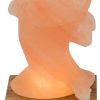 Dolphin LED salt lamp with amber base Lámparas